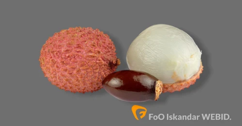 Ilustrasi Buah Leci